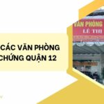 Văn Phòng Công Chứng Trần Thị Kim Chi Quận 12 – Địa Chỉ Công Chứng Uy Tín Hàng Đầu Văn Phòng Công Chứng Trần Thị Kim Chi | 165 Hà Huy Giáp, Phường Thạnh Lộc, Quận 12