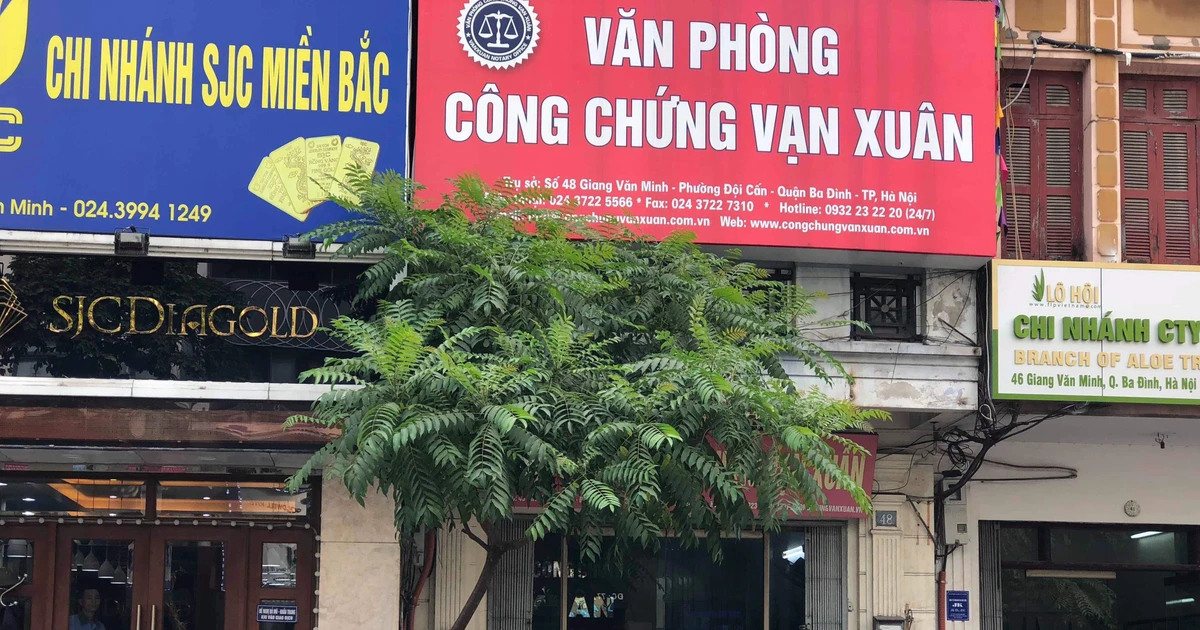 Văn ph&ograve;ng C&ocirc;ng chứng Linh Xu&acirc;n - H&igrave;nh 5