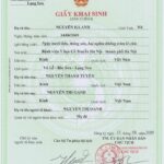 Bản chính là gì? Phân biệt bản chính và bản sao trong pháp lý, hành chính bản chính là gì