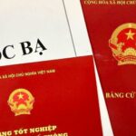 Bản sao chứng chỉ là gì? Hướng dẫn công chứng sao y bản chính chi tiết và đầy đủ Bản sao chứng chỉ là gì? Hướng dẫn công chứng sao y bản chính chi tiết và đầy đủ