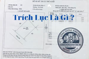 bản trích lục là gì