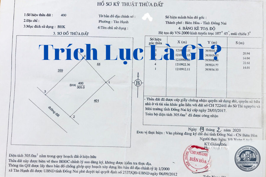 bản trích lục là gì - Hình 1