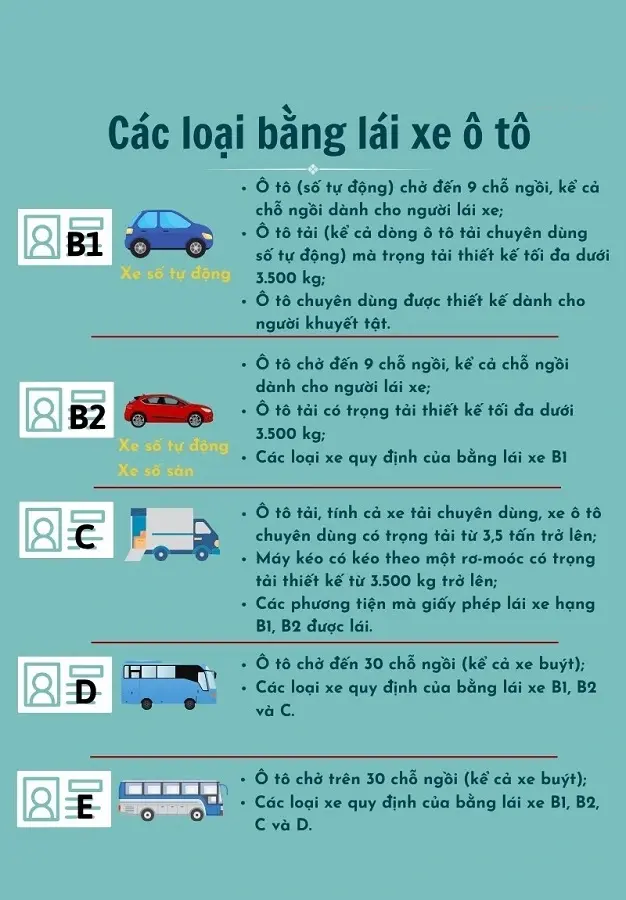 bằng lái xe - Hình 5
