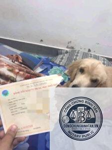 bằng tốt nghiệp bị rách
