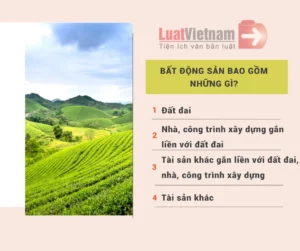 bất động sản là gì