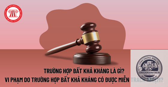 bất khả kh&aacute;ng l&agrave; g&igrave; - H&igrave;nh 3