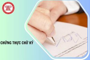 cách lưu trữ giấy tờ đã chứng thực