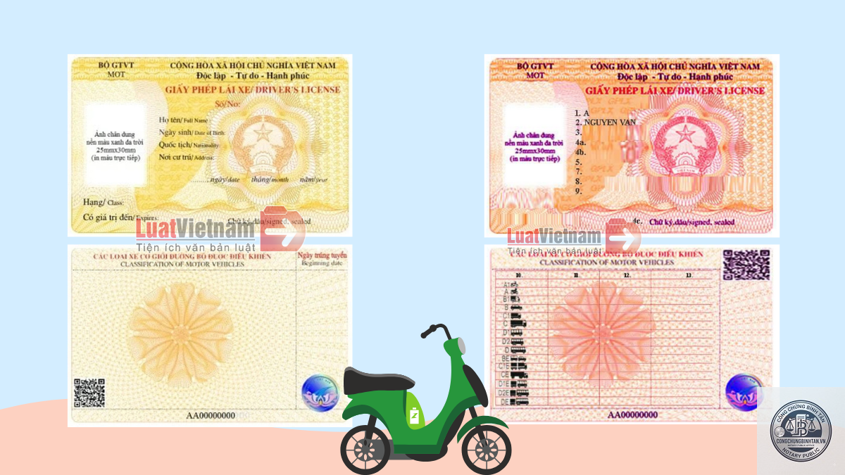cấp lại bằng lái xe - Hình 4