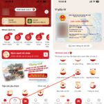 Hướng dẫn chi tiết cách cập nhật thông tin VNeID nhanh chóng và chính xác cập nhật thông tin VNeID
