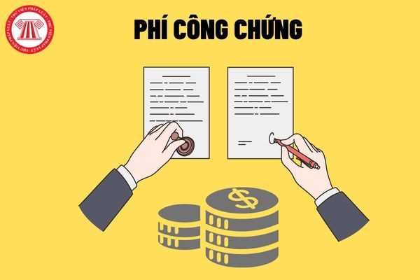 chi ph&iacute; c&ocirc;ng chứng - H&igrave;nh 5
