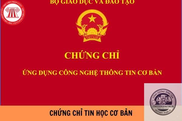 chứng chỉ tin học - H&igrave;nh 3