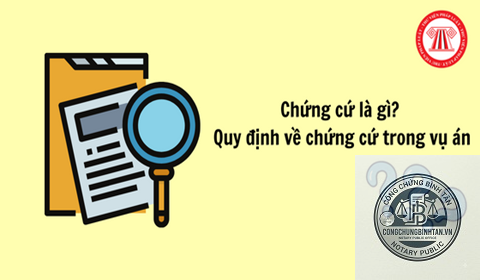 chứng cứ l&agrave; g&igrave; - H&igrave;nh 1