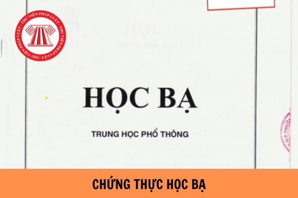 chứng thực học bạ - H&igrave;nh 4