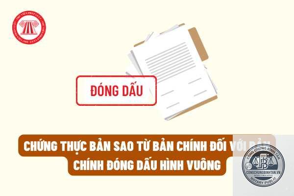 chứng thực nhiều bản c&ugrave;ng l&uacute;c - H&igrave;nh 5
