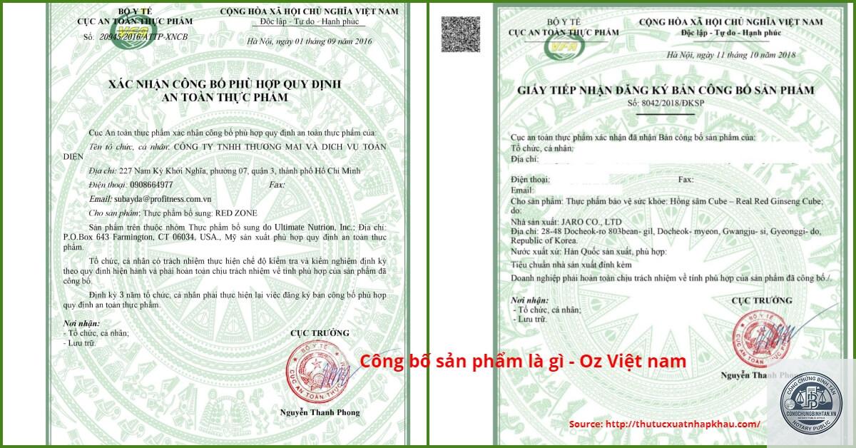 c&ocirc;ng bố l&agrave; g&igrave; - H&igrave;nh 2