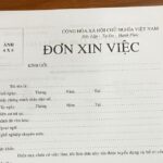 Công chứng đơn xin việc: Hướng dẫn chi tiết từ A đến Z cho người đi làm công chứng đơn xin việc