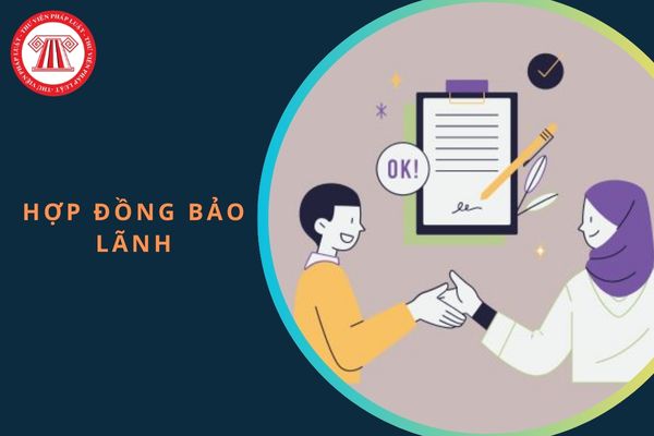 công chứng hợp đồng bảo lãnh - Hình 4