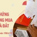C&ocirc;ng chứng hợp đồng chuyển nhượng: To&agrave;n bộ quy tr&igrave;nh, thủ tục v&agrave; những điều cần biết