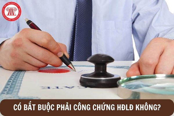 c&ocirc;ng chứng hợp đồng lao động - H&igrave;nh 1