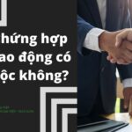 C&ocirc;ng chứng hợp đồng lao động: Thủ tục, hồ sơ v&agrave; những điều cần biết năm 2024