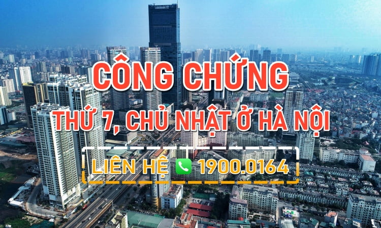 c&ocirc;ng chứng ng&agrave;y chủ nhật - H&igrave;nh 2