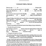 c&ocirc;ng chứng thỏa thuận ph&acirc;n chia t&agrave;i sản