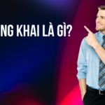 Công Khai Là Gì? Bản Chất, Nguyên Tắc Và Ứng Dụng Toàn Diện Trong Đời Sống Và Pháp Luật công khai là gì