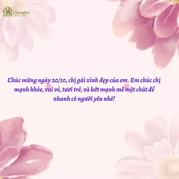 di ch&uacute;c cho chị - H&igrave;nh 4