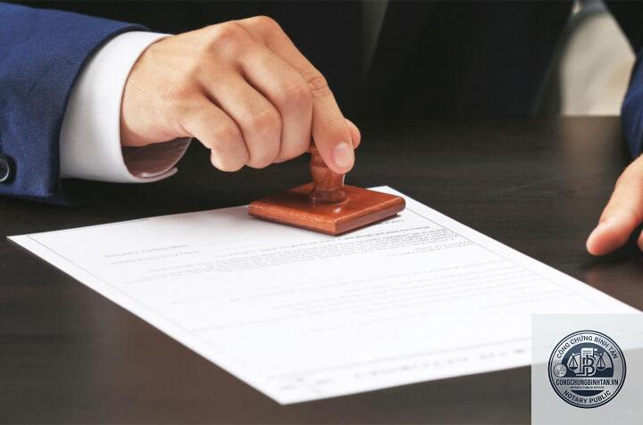 di ch&uacute;c cho con mất năng lực h&agrave;nh vi - H&igrave;nh 2
