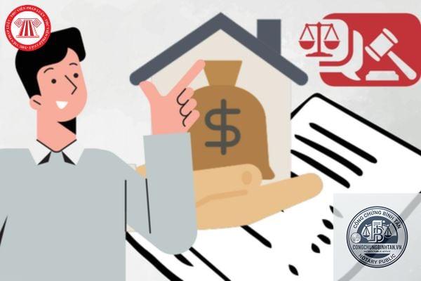 di ch&uacute;c cho con mất năng lực h&agrave;nh vi - H&igrave;nh 3