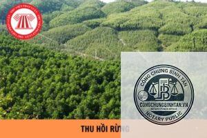 di chúc đất rừng