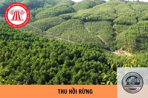 di chúc đất rừng