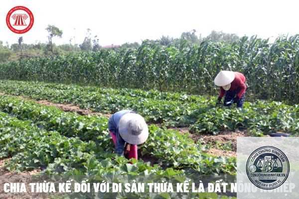 di ch&uacute;c đất trồng c&acirc;y - H&igrave;nh 2