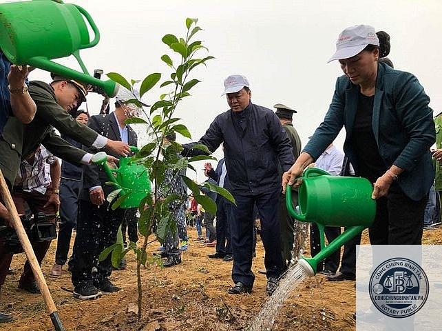 di ch&uacute;c đất trồng c&acirc;y - H&igrave;nh 3