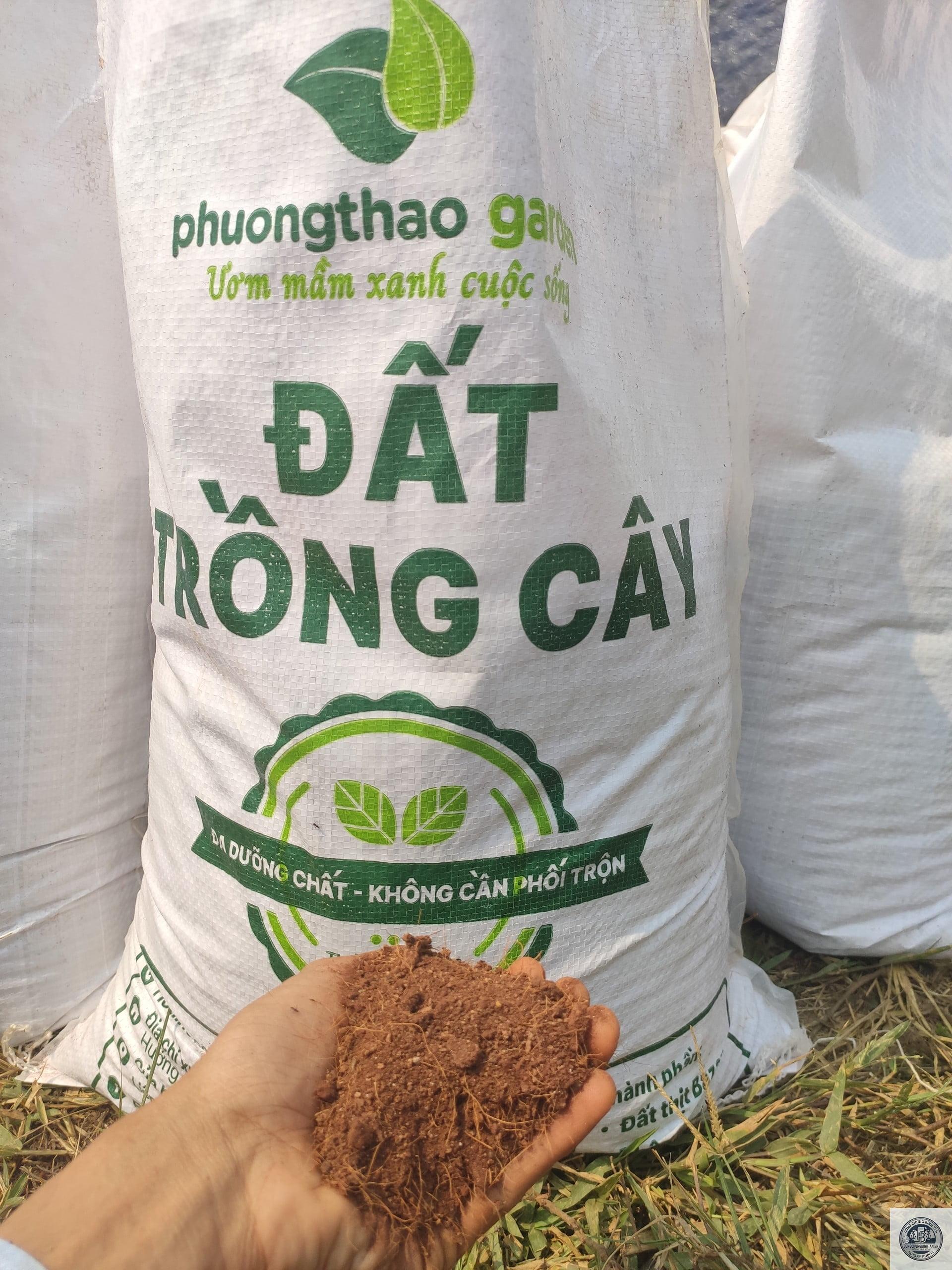 di ch&uacute;c đất trồng c&acirc;y - H&igrave;nh 4