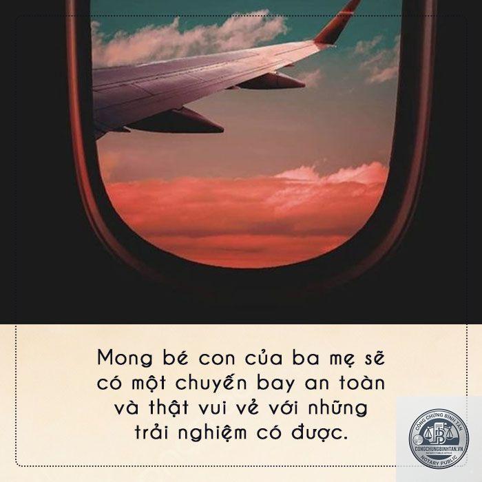 di ch&uacute;c m&aacute;y bay c&aacute; nh&acirc;n - H&igrave;nh 3