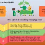 Di chúc miệng có hợp pháp không: Toàn bộ quy định pháp luật và những rủi ro cần biết di chúc miệng có hợp pháp không
