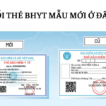 Hướng dẫn chi tiết thủ tục đổi thẻ BHYT mới nhất 2025 – Từ A đến Z đổi thẻ bhyt