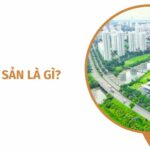 động sản l&agrave; g&igrave;