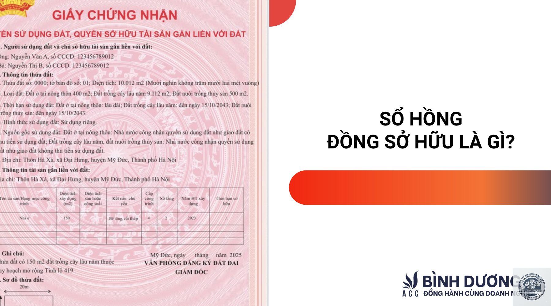 đồng sở hữu l&agrave; g&igrave; - H&igrave;nh 5