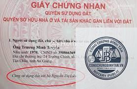 đồng sở hữu là gì