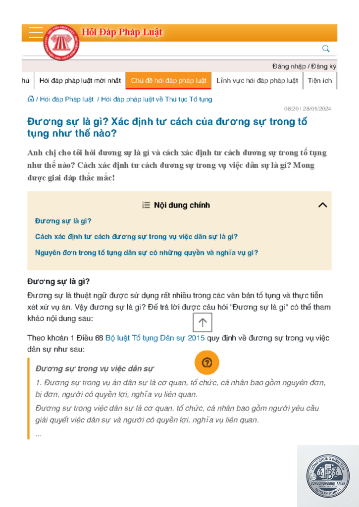 đương sự là gì