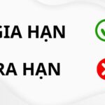gia hạn l&agrave; g&igrave;