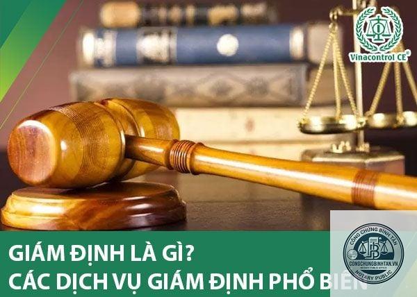 gi&aacute;m định l&agrave; g&igrave; - H&igrave;nh 3