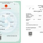 Giấy Khai Sinh Số Hóa: Tất Tần Tật Từ Quy Trình Đến Giá Trị Pháp Lý Bạn Cần Nắm Rõ giấy khai sinh số hóa