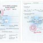 Giấy phép lao động cho người nước ngoài: Quy trình, thủ tục và những lưu ý bắt buộc năm 2025 giấy phép lao động