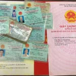 Giấy tờ giả có chứng thực được không? Giải mã từ A đến Z về tính hợp pháp và rủi ro Giấy tờ giả có chứng thực được không? Giải mã từ A đến Z về tính hợp pháp và rủi ro