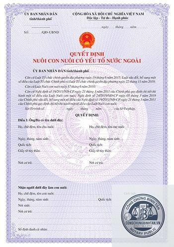 giấy tờ nhận con nu&ocirc;i nước ngo&agrave;i - H&igrave;nh 4