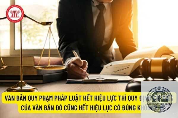 hết hiệu lực l&agrave; g&igrave; - H&igrave;nh 5