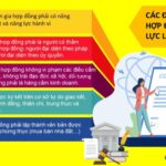Hiệu lực hợp đồng là gì? Giải mã toàn diện từ A đến Z hiệu lực hợp đồng là gì